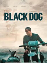 Black Dog