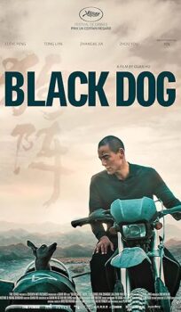 Black Dog